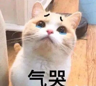 因太美遭霸凌，20岁嫁富二代生子却一身债，粉丝求她快红！（组图） - 28