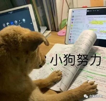 【网红】同济校花被打假？她靠江浙顶富高调求婚，赢麻了…（组图） - 25