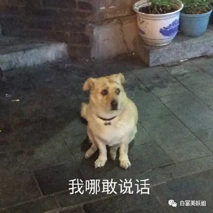晚学遇强劲对手！00后身价上亿富二代反向作妖…（组图） - 63