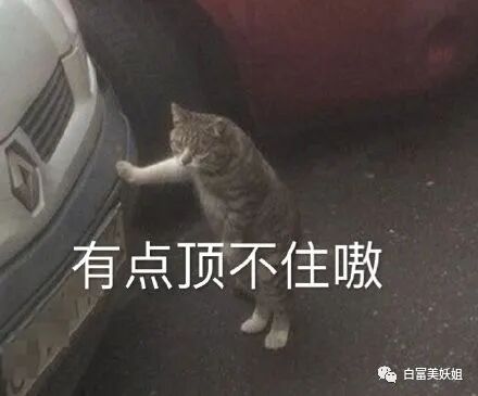 晚学遇强劲对手！00后身价上亿富二代反向作妖…（组图） - 67