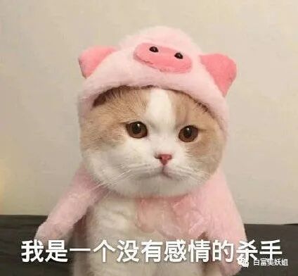 【扒皮】京城名媛热衷挖墙角，多次被原配下场锤，半藏森林2.0？（组图） - 63