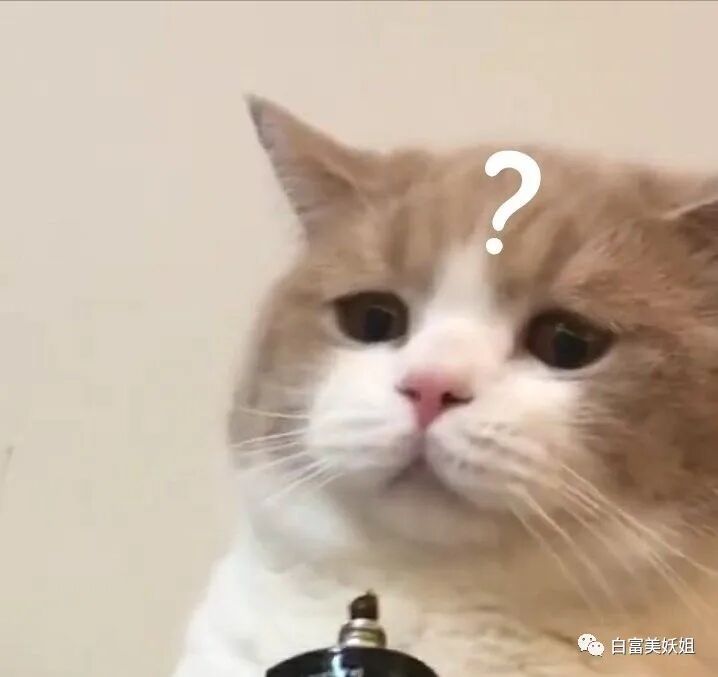 王思聪撩不到的学霸白富美，爱上换头照骗男频繁翻车…（组图） - 69
