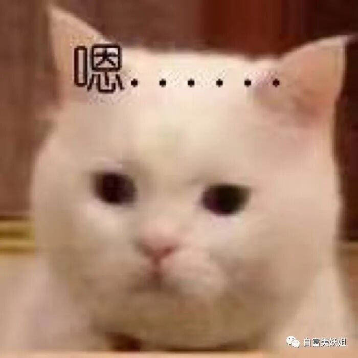 王思聪撩不到的学霸白富美，爱上换头照骗男频繁翻车…（组图） - 82