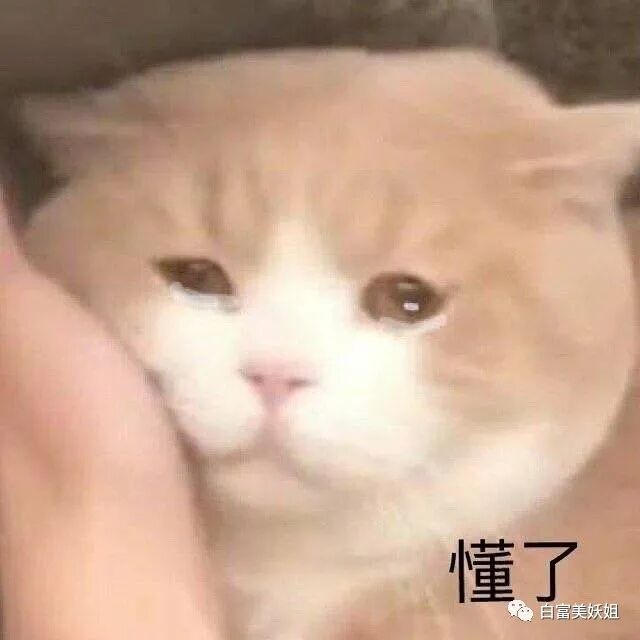 【网红】上海滩第1富二代后宫之争：被王思聪多次手撕的小网红笑到最后？（组图） - 71