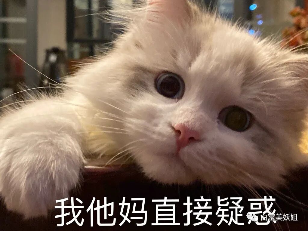 【网红】上海滩第1富二代后宫之争：被王思聪多次手撕的小网红笑到最后？（组图） - 69