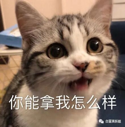【男神】迷倒8000w少女却拒绝出道？最神秘帅哥组织曝光！（组图） - 42