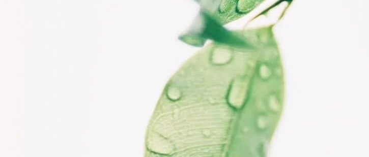 老师教给我们的那些事儿