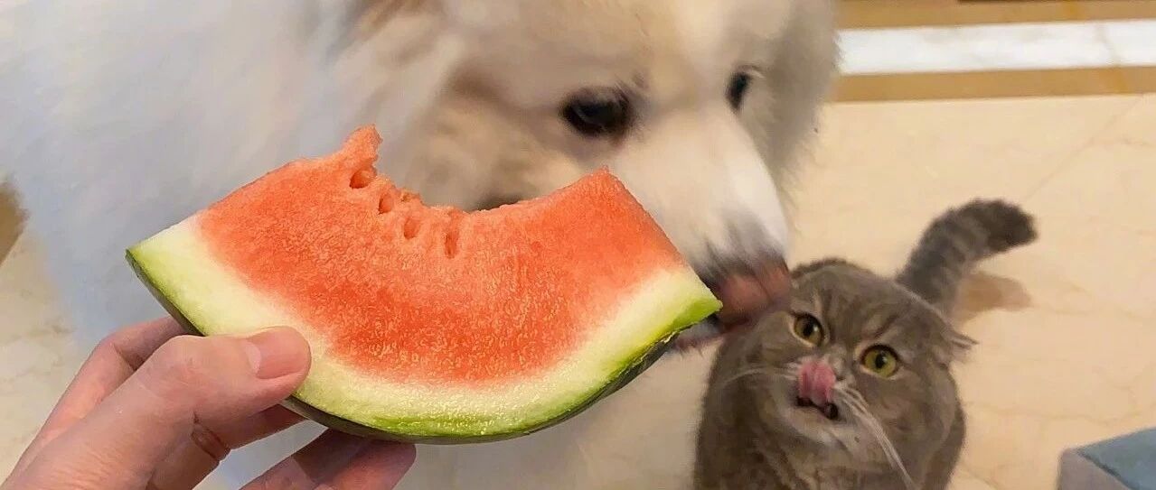 双倍可爱已送达，注意查收！