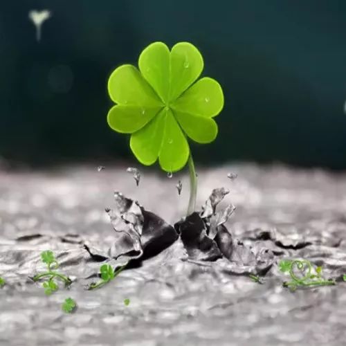 揭秘侍寝乾隆28年的香妃 为何没有怀孕生子?!