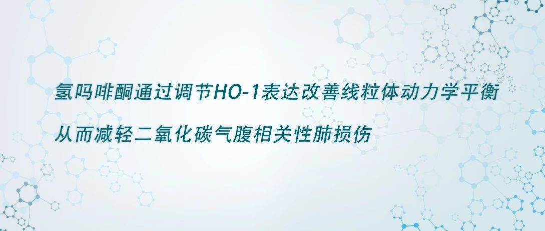 氢吗啡酮通过调节HO-1表达改善线粒体动力学平衡从而减轻二氧化碳气腹相关性肺损伤