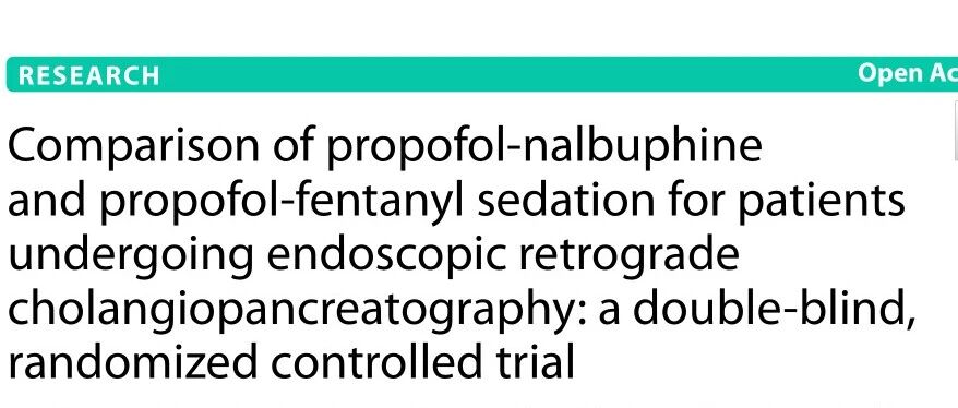 ERCP中丙泊酚-纳布啡和丙泊酚-芬太尼镇静的比较：一项双盲、随机对照试验
