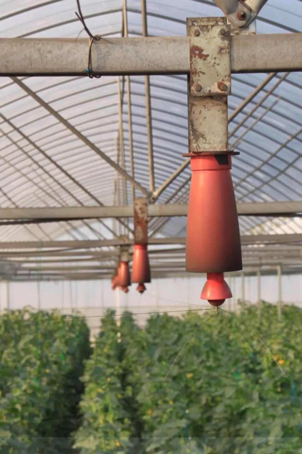 把科学带回家 自由微信 Freewechat