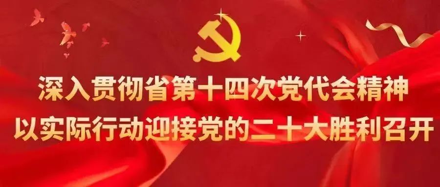 致富经养鸡_致富养鸡好段_致富养鸡视频