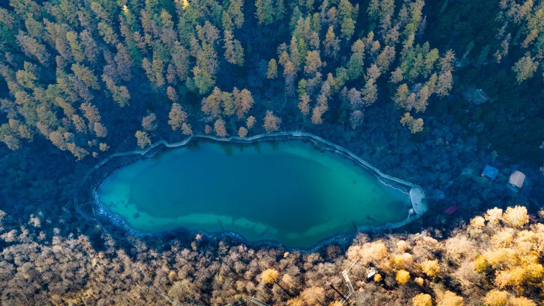 2024年九寨沟旅游：把湖泊森林草原看遍，它才是名副其实的秋景天花板！