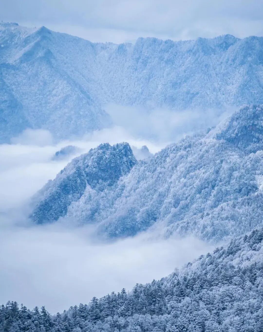 直飞仅¥300+！好玩不输长白山！冬天的它颜值爆表