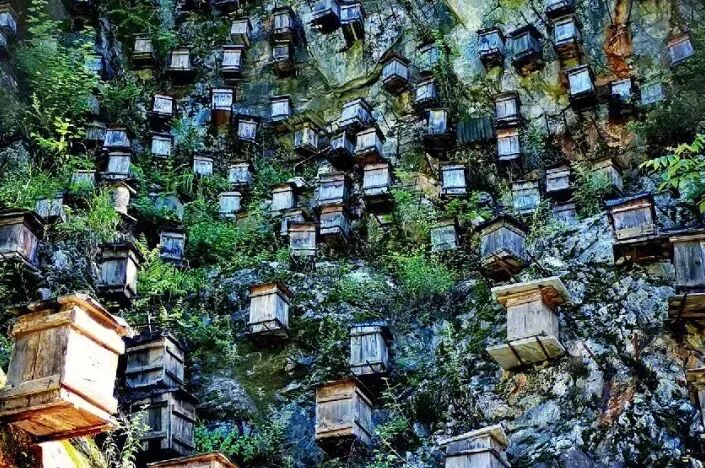 直飞仅¥300+！好玩不输长白山！冬天的它颜值爆表