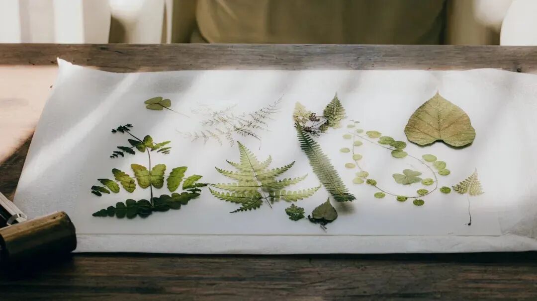 直飞仅¥300+！好玩不输长白山！冬天的它颜值爆表