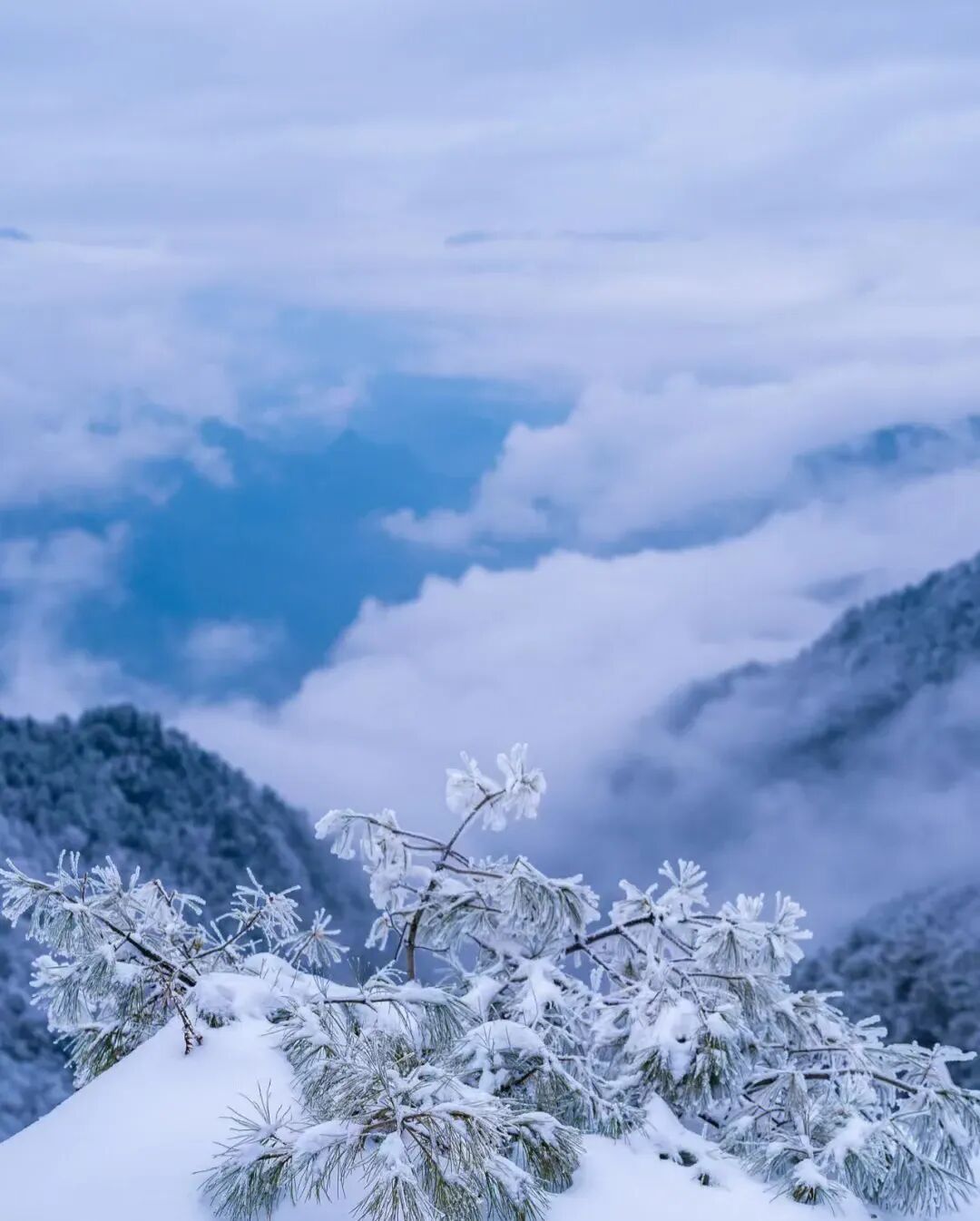 直飞仅¥300+！好玩不输长白山！冬天的它颜值爆表