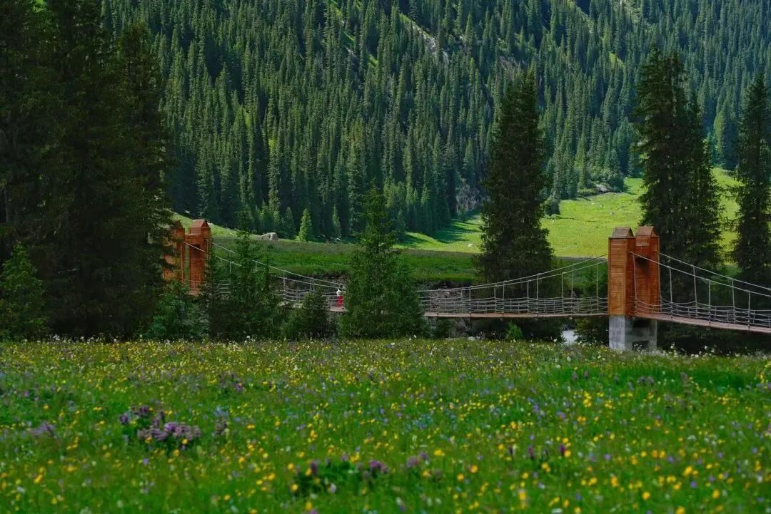 夏塔古道在木扎尔特雪山下,它曾是伊犁到阿克苏,北疆到南疆的交通要道