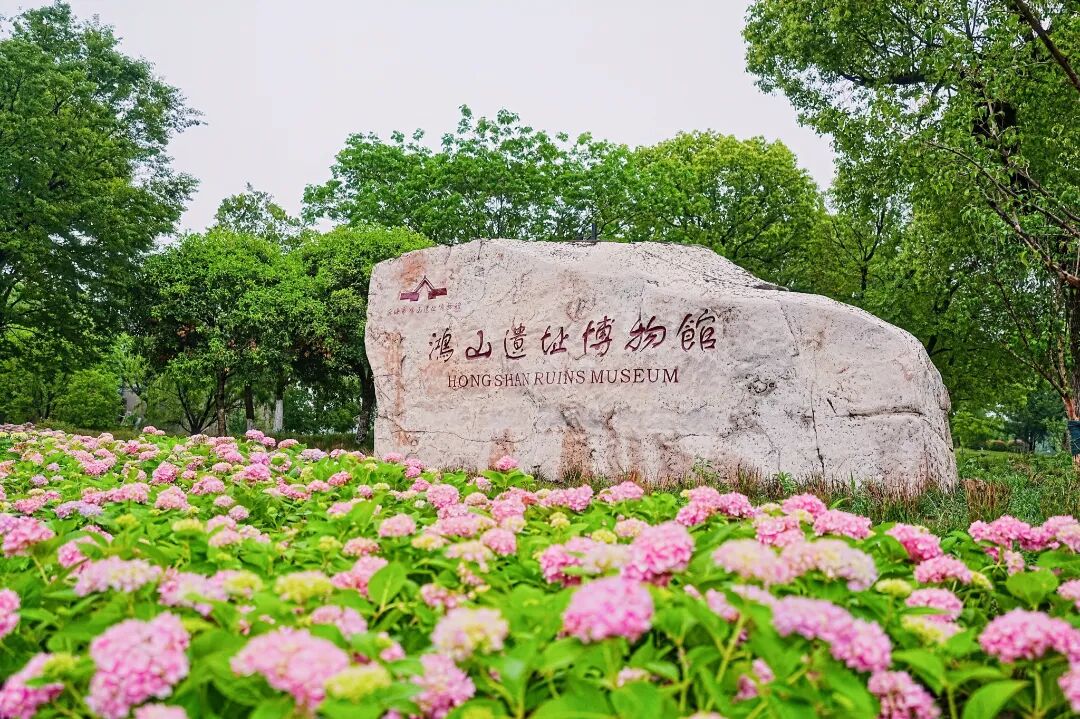 HYS09109-opq3645727213 (1).jpg