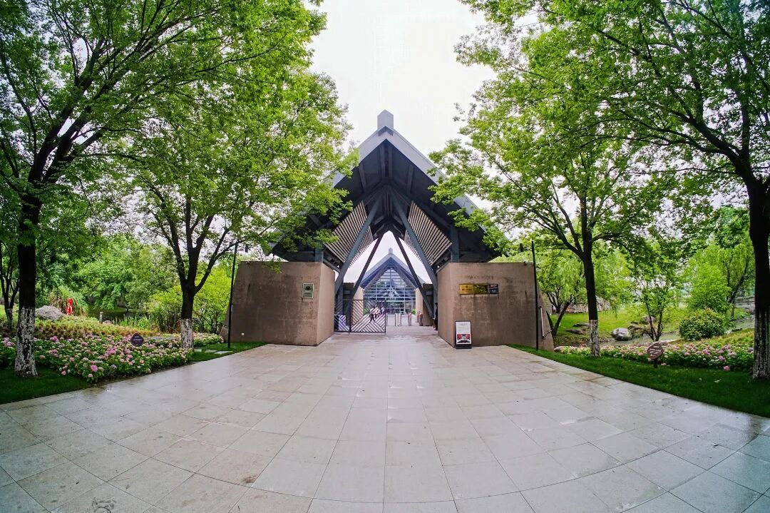 HYS09141-opq3645844528 (1).jpg