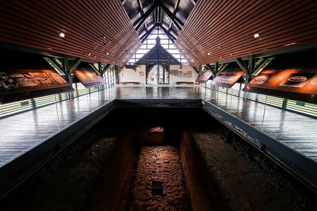 HYS09200-opq3645940107 (1).jpg