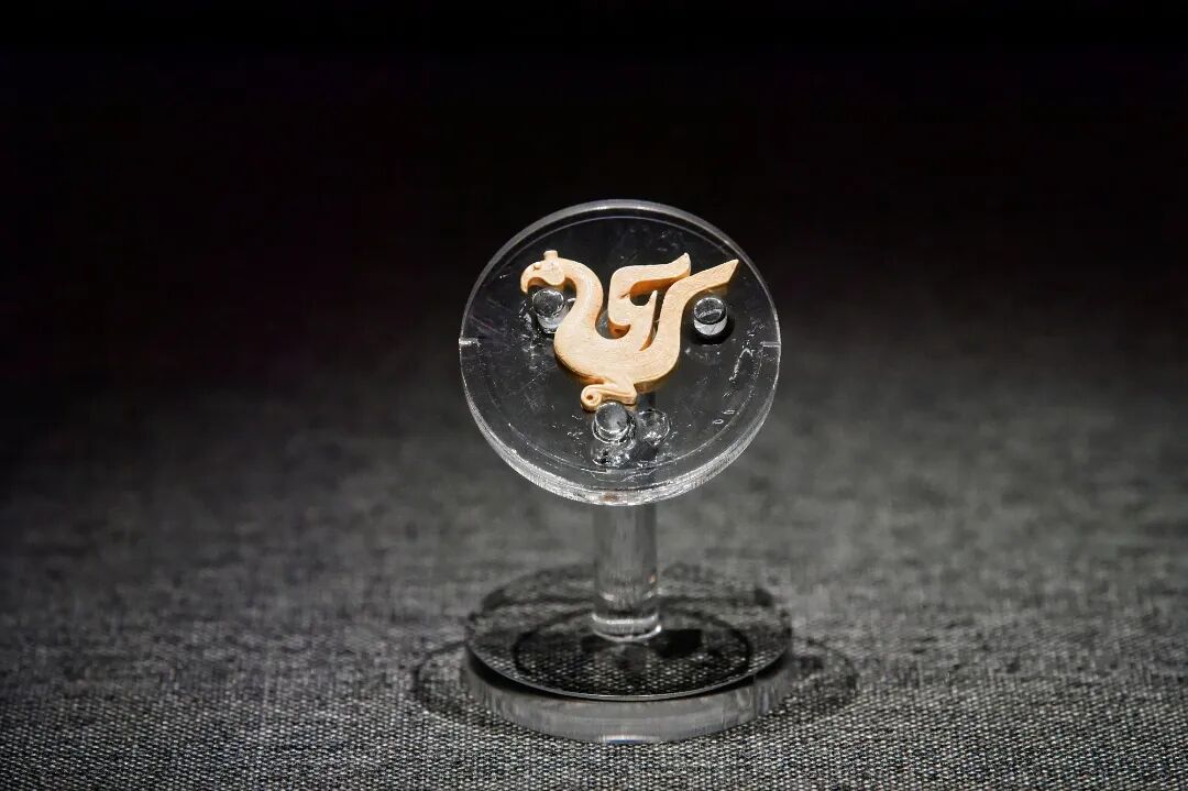 DSC_8754-opq3648167200 (1).jpg