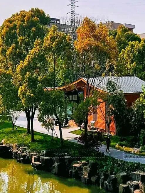 crop,h_658,w_494,x_413,y_0