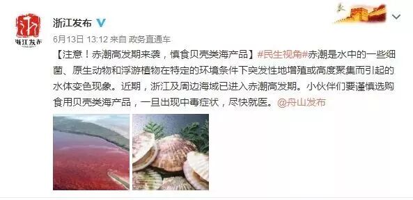 赤潮高发期来了 最近吃这几类海鲜需谨慎
