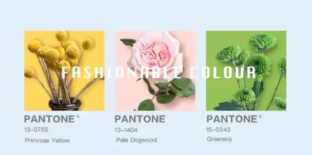 鲜花里的「7种流行色」是什么呢？都代表什么呢？