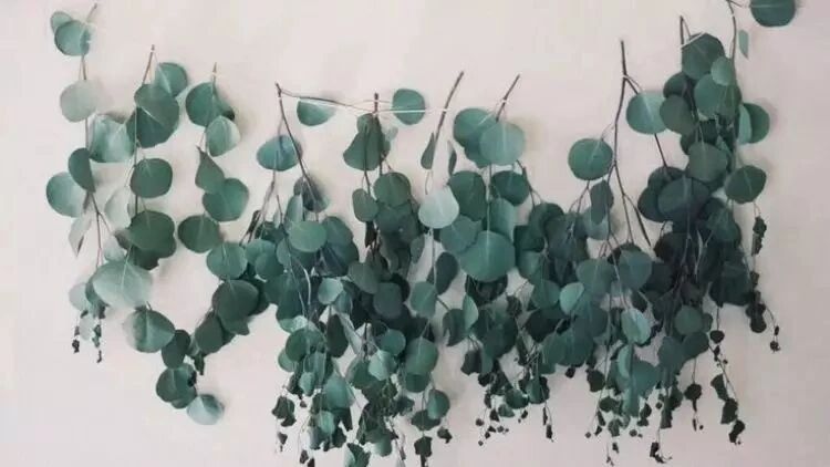 七夕情人节收到的鲜花可以挂起来了！