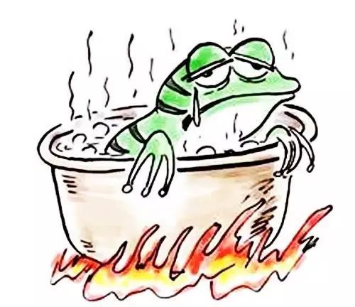 温水煮青蛙表情包图片
