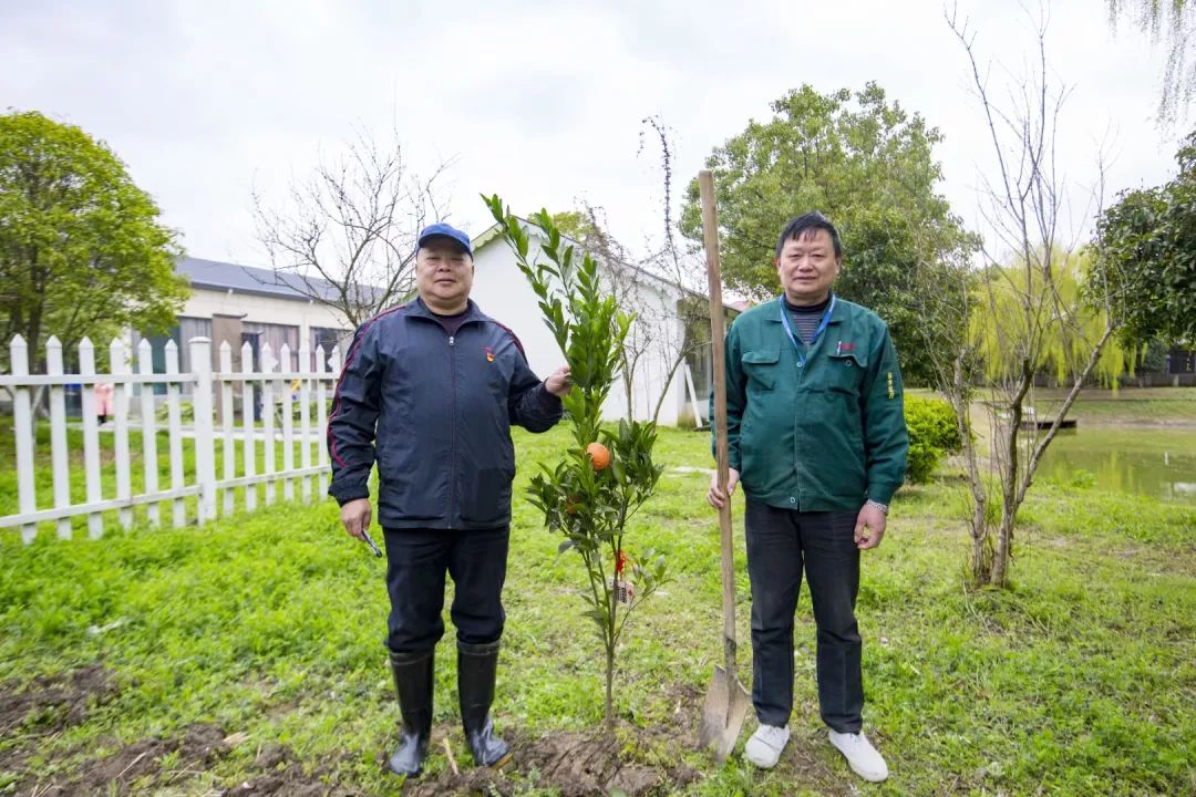 美丽风景在乡村王店镇镇中村入选省一村万树示范村