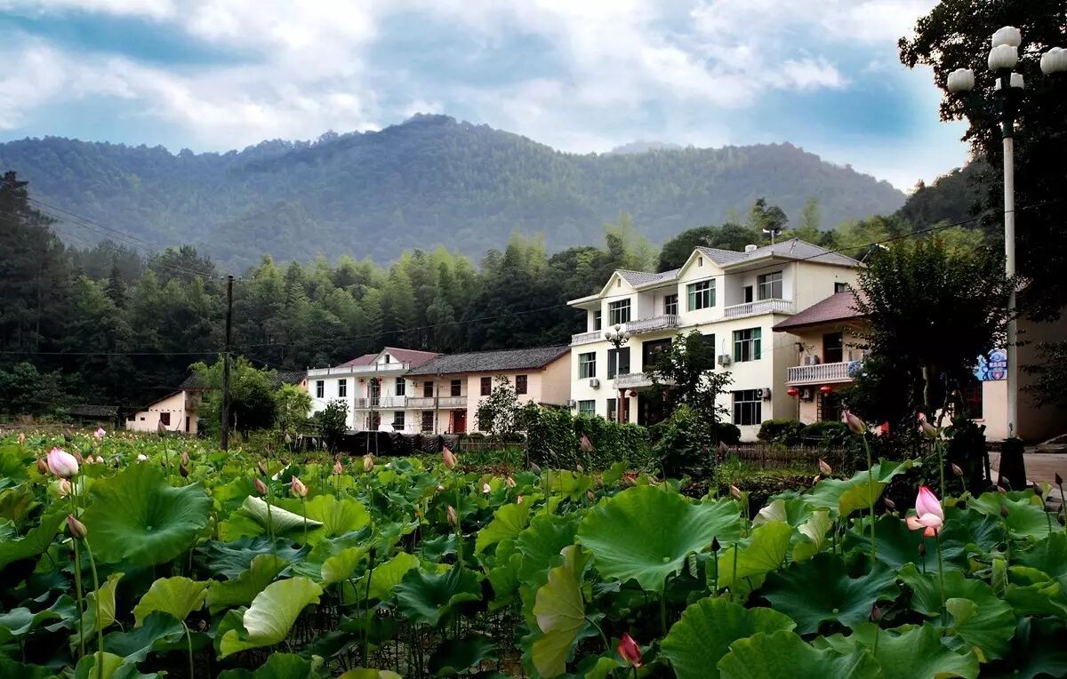 中国林改第一村武宁长水又获重磅荣誉村委会获评全国集体林权制度改革