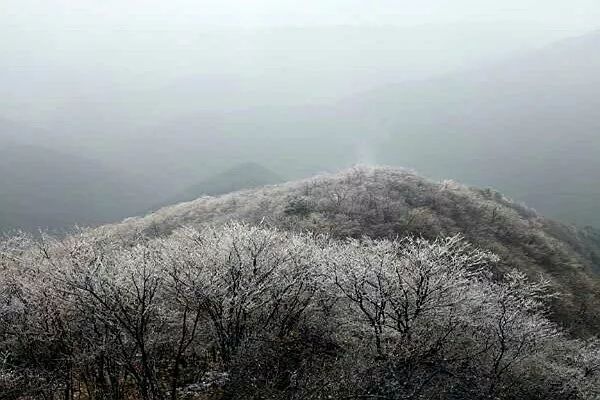 下雪啦 武宁太平山迎来今年第一场雪 武宁发布 微信公众号文章阅读 Wemp