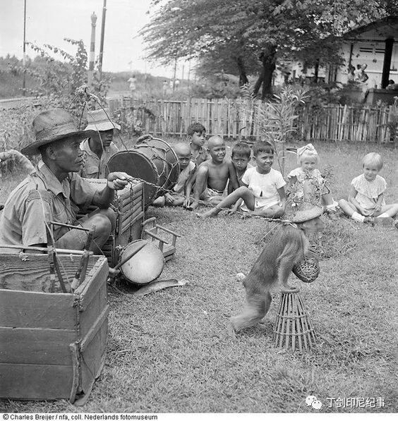 印尼是什么洲_印尼属于哪个洲_印尼在什么州