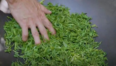 碧螺春第一泡要倒掉吗（第一泡茶要不要倒掉？）