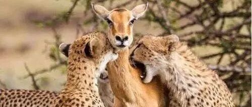 一张照片，拍摄者不能自拔，潸然泪下