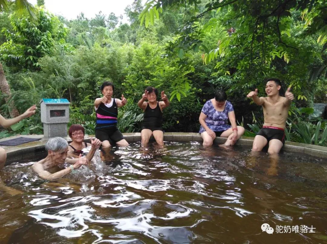 开心 唯骆士会员古兜温泉养生之旅 唯骆士驼奶 微信公众号文章阅读 Wemp