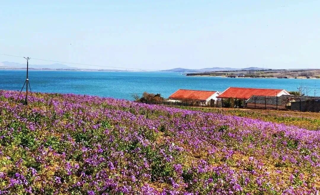 政府扶持农村创业项目排行榜_国家扶持创业项目新农村旅游_农村什么项目国家扶持