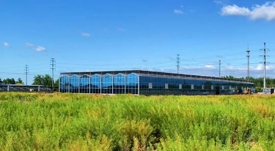 农村什么项目国家扶持_政府扶持农村创业项目排行榜_国家扶持创业项目新农村旅游