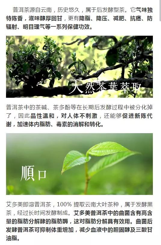 【艾多美】普洱茶帮助你消化肠道、除去身体脂肪的好茶