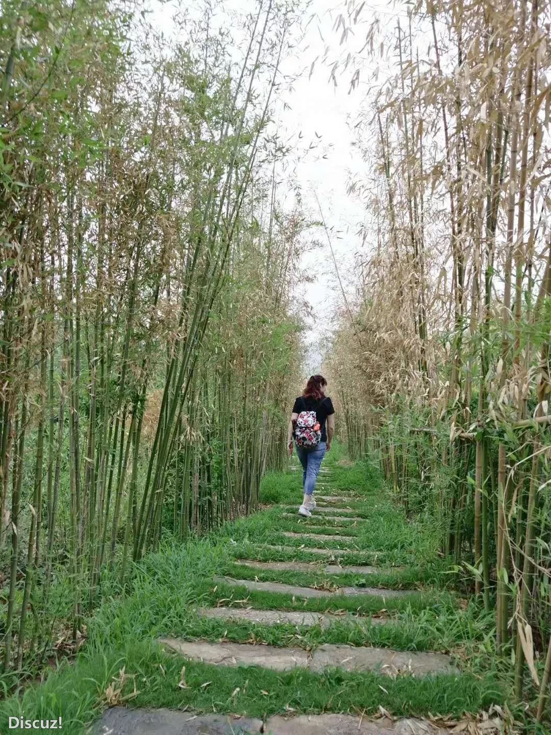 全树荫徒步 6月29日 周六 五老峪百合花海 张家台水库 天佛山 杨峪休闲纳凉 淄博柳泉户外 微信公众号文章阅读 Wemp