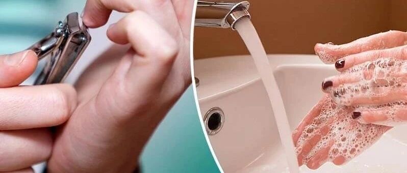 微信公众号微学英语 Westudyenglish 最新文章 微信公众号文章阅读 Wemp