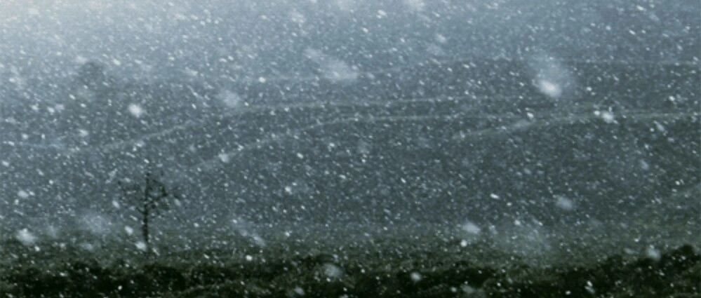 小到中雪+阵风6级！雄安最新天气预报来啦