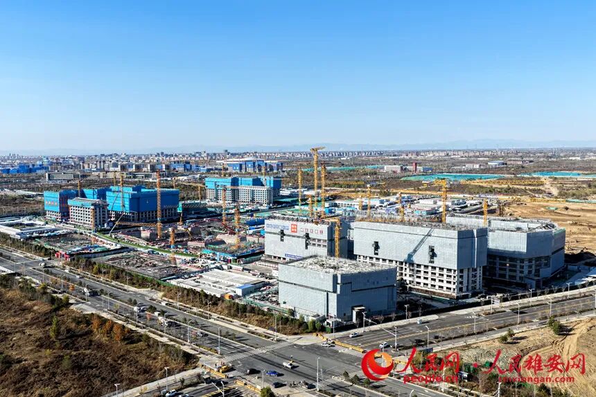 DJI_20251117140338_0097_D