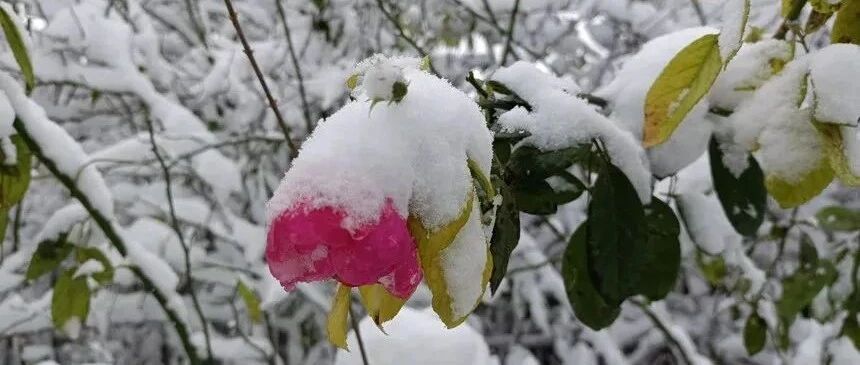 雄安发布最新预警！寒潮+降雪！气温下降10℃，注意防范→