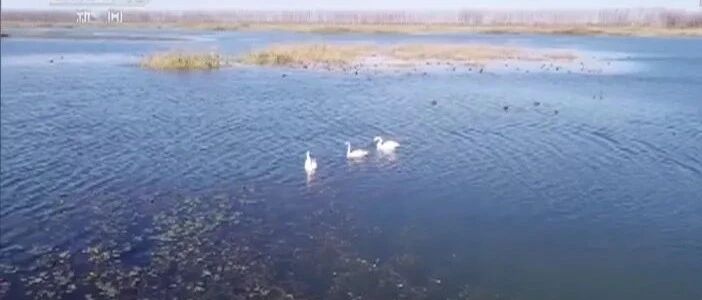 今天，央视报道雄安！说了这个好消息