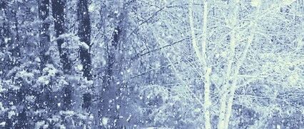 暴雪+寒潮！雄安刚刚发布双预警，请注意防范