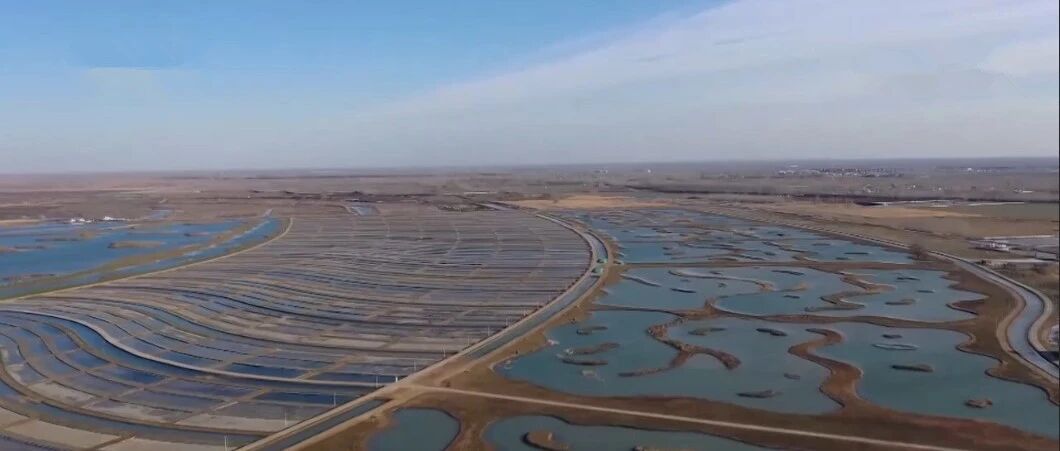 央视报道！白洋淀水质持续改善，城市绿地初见规模